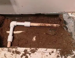 海丰测漏水哪家好