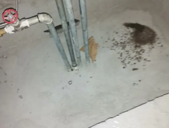 海丰卫生间测漏水价格明细